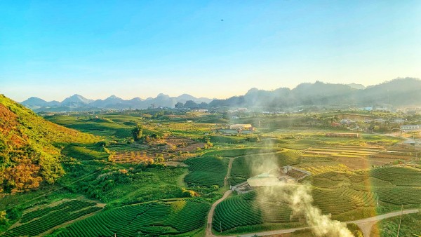 TOUR MỘC CHÂU ĐIỂM CHECK IN ĐẸP  2 NGÀY 1 ĐÊM GIÁ RẺ SĂN MÂY TÀ XÙA – THẢO NGUYÊN – TÀ XÙA ECOLODGE KHỞI HÀNH TỪ HÀ NỘI 