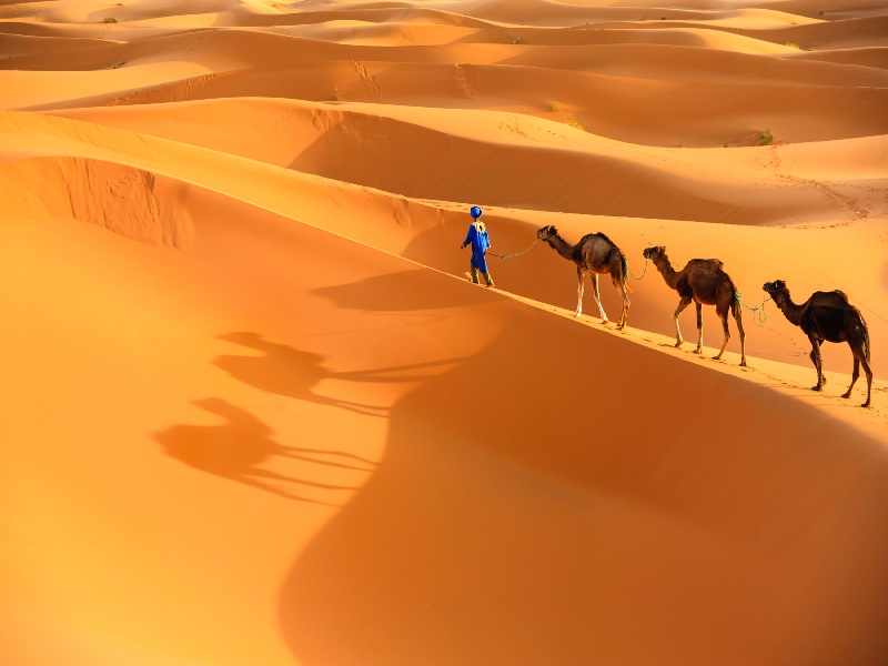 TOUR HÀ NỘI TP HCM MAROC VƯƠNG QUỐC BẮC PHI XINH ĐẸP VỚI NỀN VĂN HÓA GIAO THOA  - ĐÓN BÌNH MINH HUYỀN ẢO TRÊN SA MẠC SAHARA  